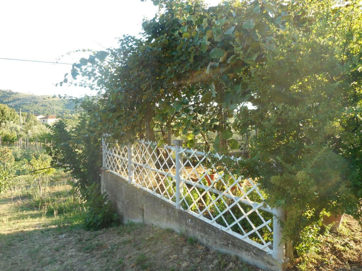 Poggio Fiorito Apartment Castiglion Fiorentino Exterior photo